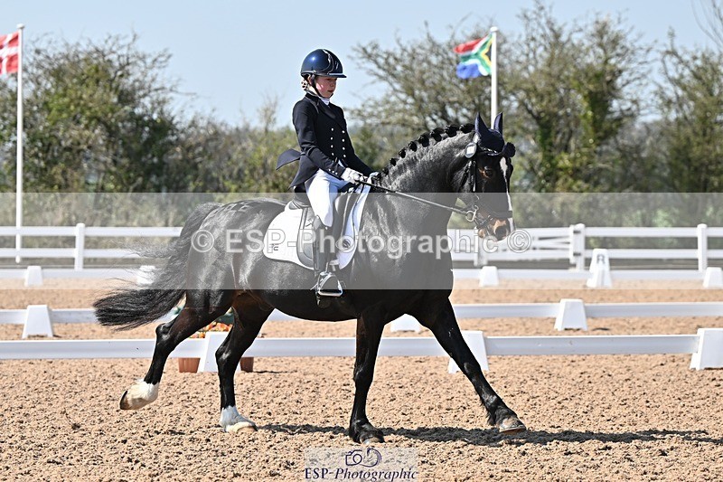 250404-133113-06395 - 111-Ever.Sinfield.Day-Machno.Excalibur