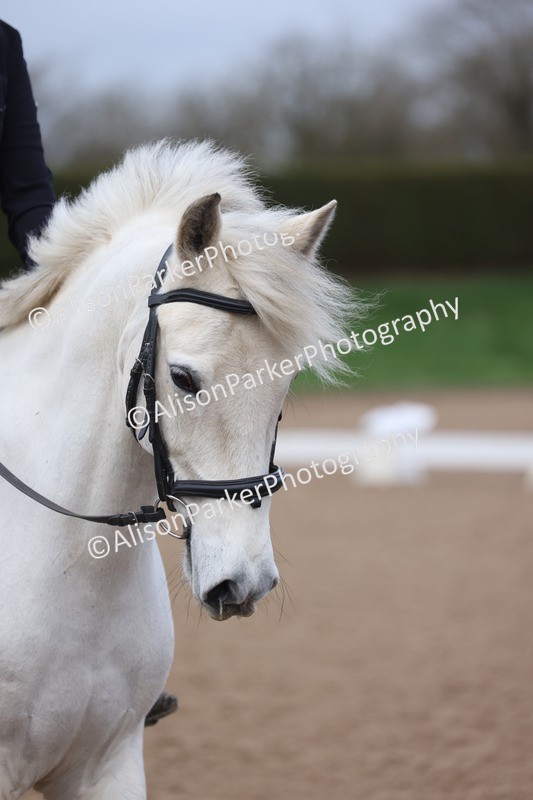 20260301-0055 - Class 2 - Prelim 5