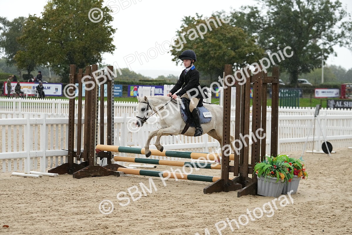 SBM_33890