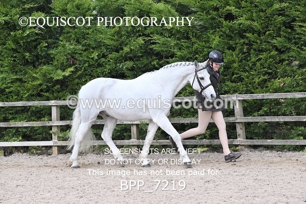 BPP_7219 - RING 1  (RIDDEN HORSES / IN HAND / VETERAN ETC)