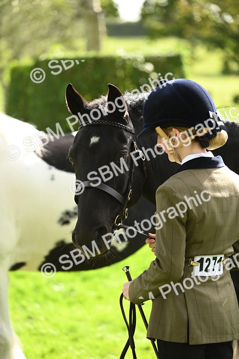 SBM_25023 - S5 - Novice & Newcomer In hand