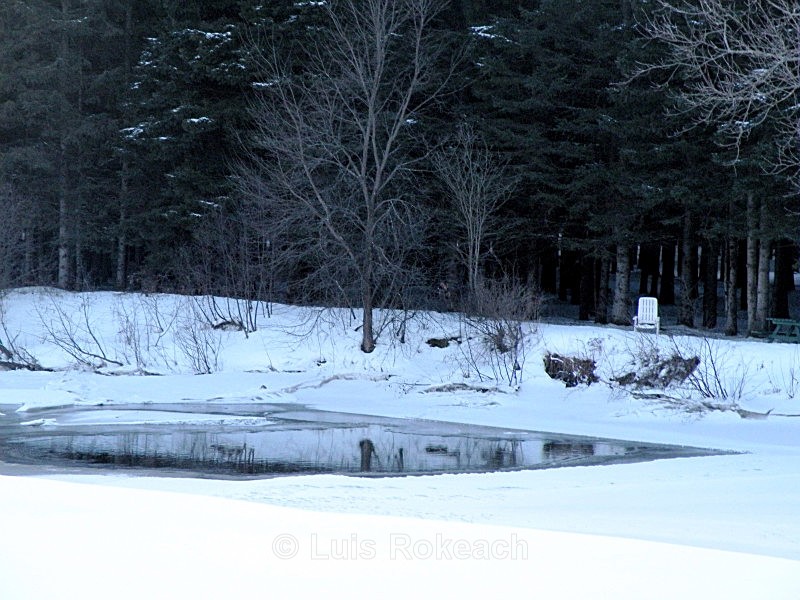  - Winter
