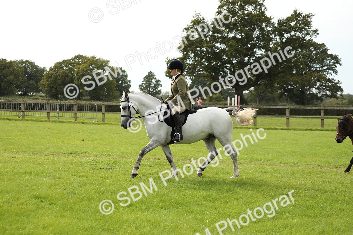 SBM_71516 - S41 - Ridden Equitation (Best Rider)