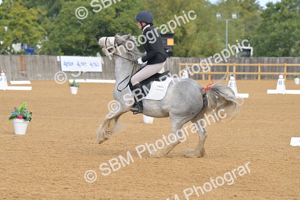 SBM_03748 - D2 - Small Tour Championship Intro 2