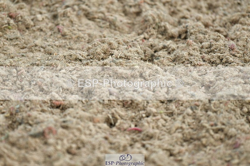 230421A-113843-01604 - Friday Cls 4
