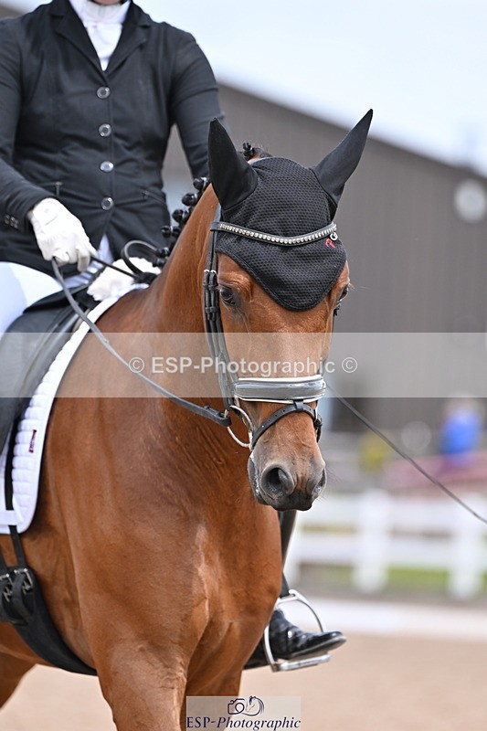 240622A-125601-10430 - Cls 29 BD Elementary 45