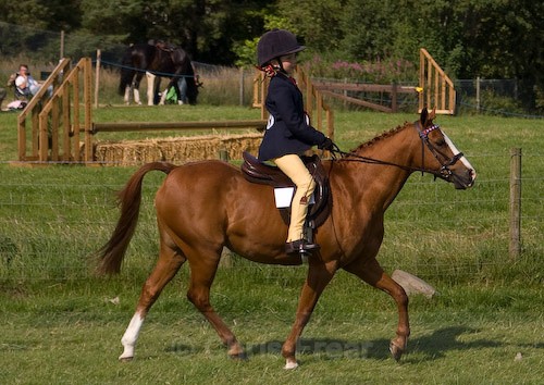 180 - Moniaive Horse Show 2008