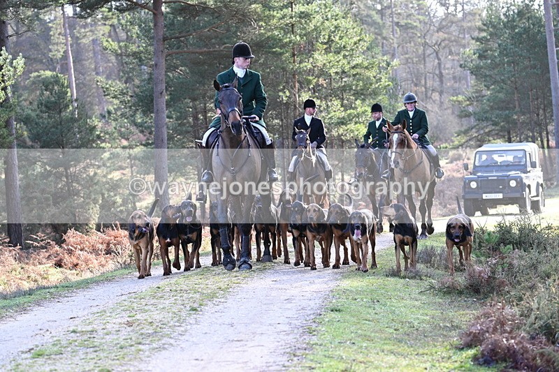 WJ7_7678 - Line 3 (no line 4 or 5)