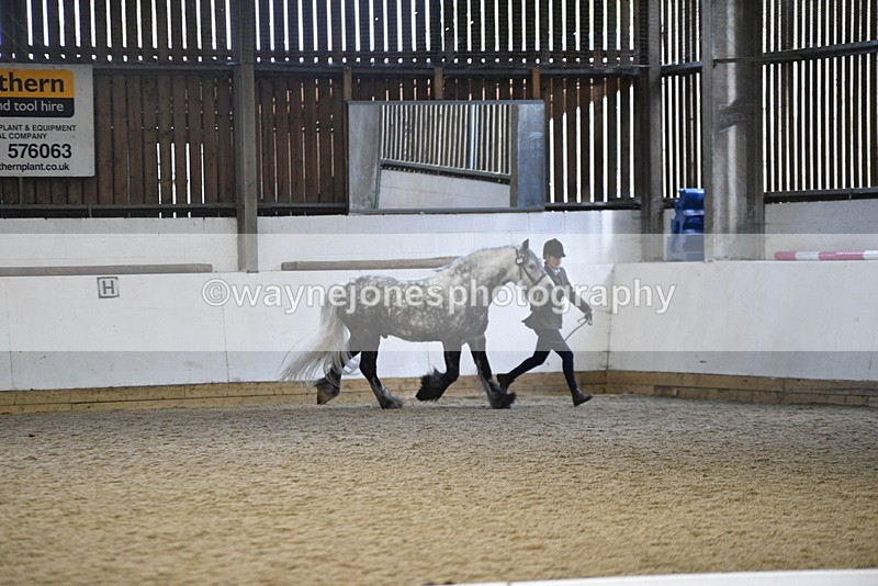 WJ5_5191 - Class 8 In hand cob