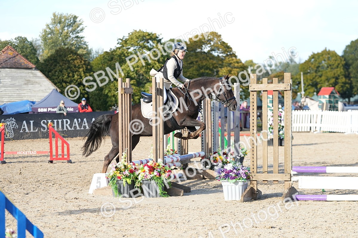SBM_29030 - J43 - Horse & Hound Open 50cm