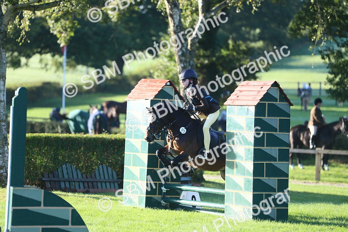 SBM_31900 - S28 - Nursery Stakes Working Hunter Pony