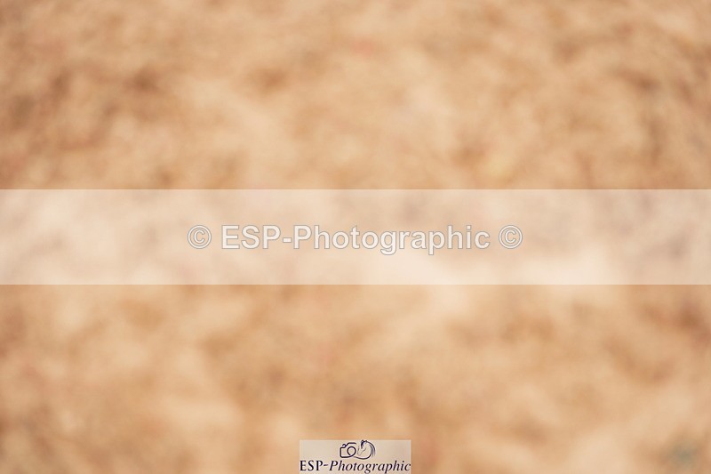 240524A-130414-03736 - Cls 16 Snr 1.20m Open