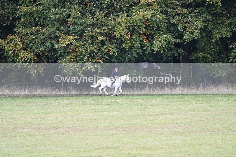 WJ7_4015 - Camera 1 Line 2