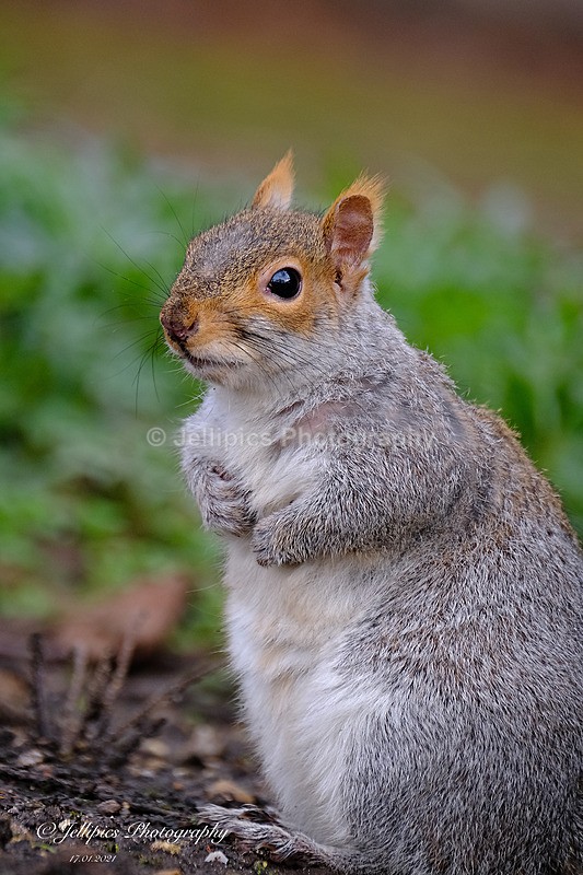  - Wildlife and Nature