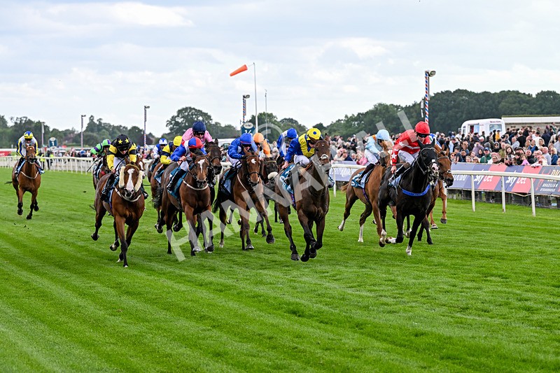 130626-Race 6-Point Of Contact-2094 - Race 6 16.50pm Ice Co Supporting Macmillan Handicap