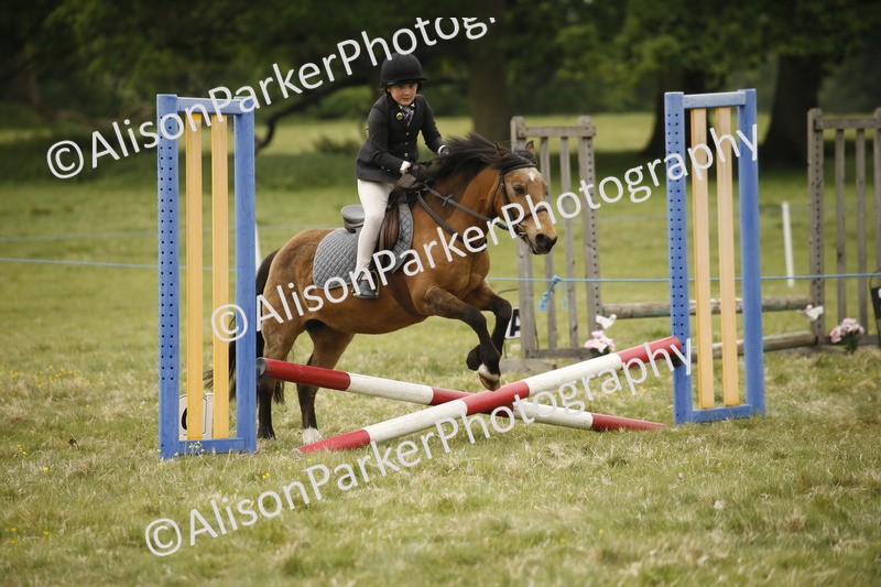20250517-0836 - Class 2 - 30cm Off Lead Rein