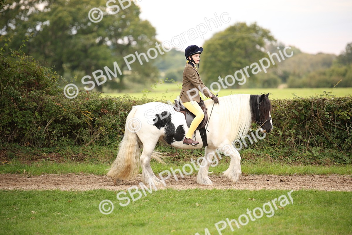 SBM_73417 - S68 - Traditional Cob Ridden