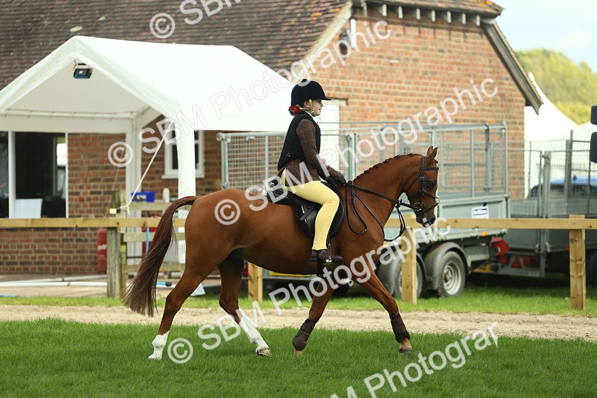 SBM_44631 - S31 - Working Hunter Pony
