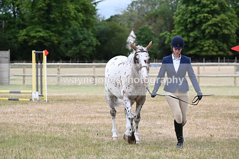 WJ6_4298 - Class 10 Coloured In-hand