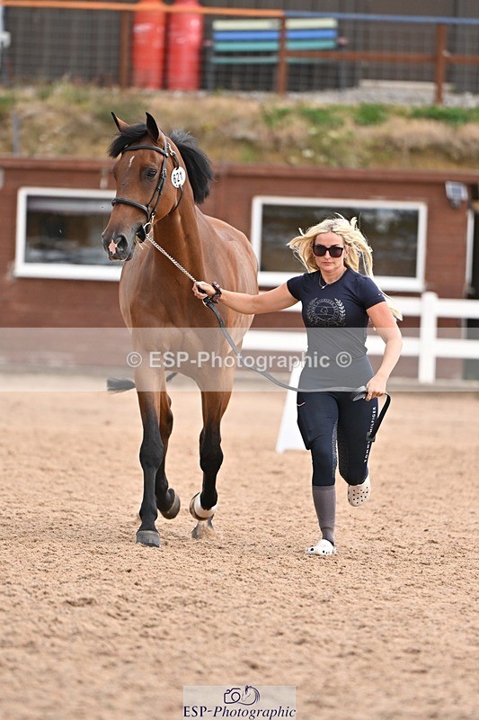 250716-145432-01494 - Trot Up 2.30 to 3.30