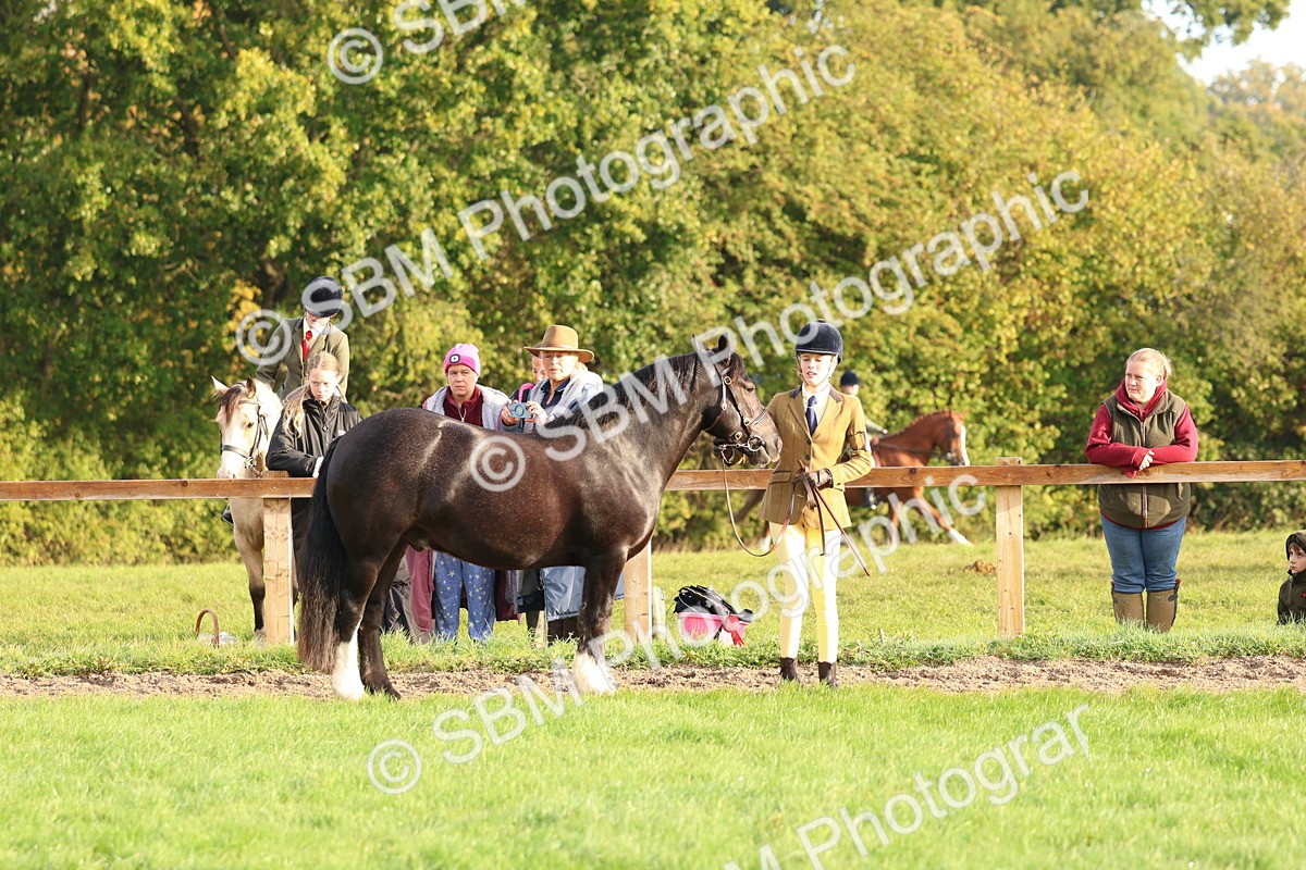 SBM_54779 - S39 - Starters In Hand Showing