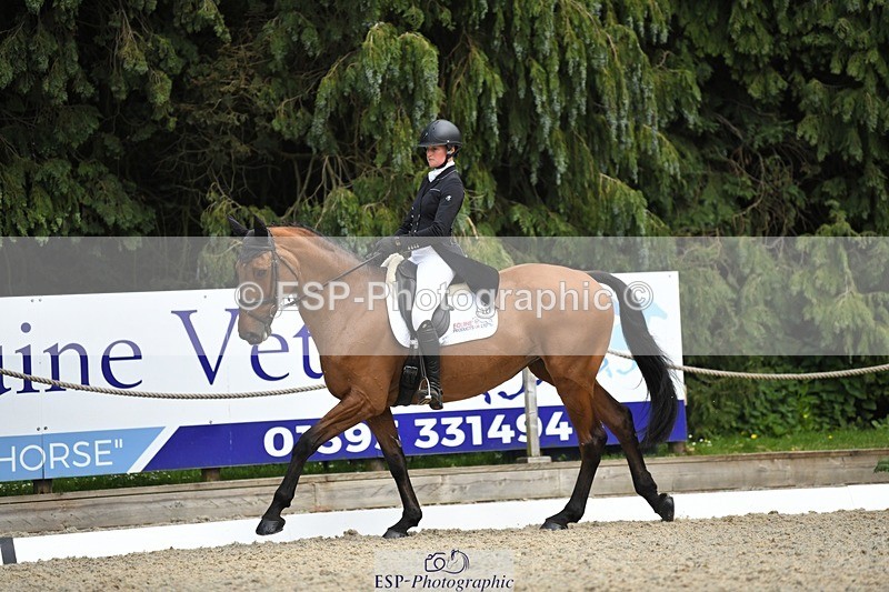 230525-153331-03270 - 327-ROMANTIC-Rosie_Fry-WEDTrotUp+DR