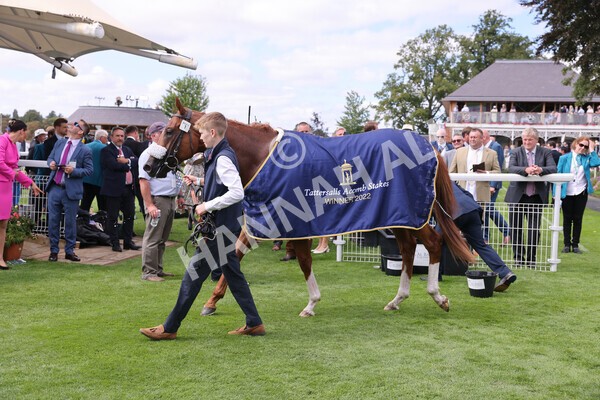 yr17082022r2-42 - Race 2 2.25pm Tattersalls Acomb Stakes