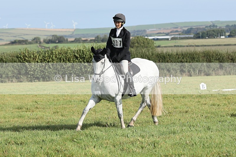 JPP_8068 - Class 2A: Trekenning Open: Dressage