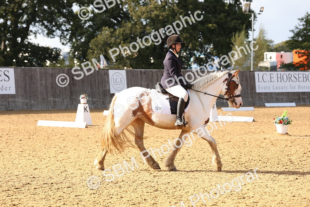SBM_50513 - D12 - Small Tour Championship prelim 2