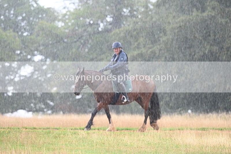 DSC_2948 - Time at Statue 12:59 to 13:49