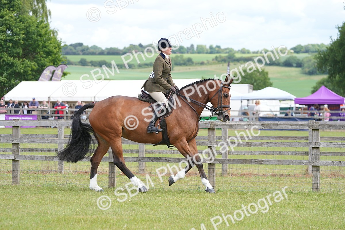 SBM_15009 - Class 100-102 - RIHS Working Hunter