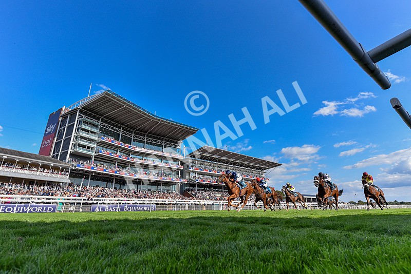 220826-Race 6-Sale Shark-6211 - Race 6 16.45pm Julia Graves Roses Stakes