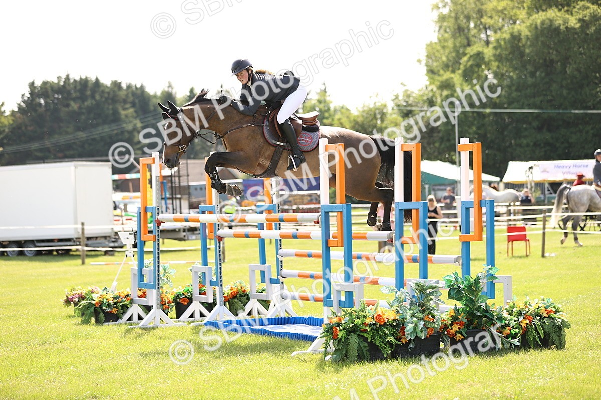 SBM_02954 - Class 201 - British Horse Feedds Speedi Beet HOYS Grade C