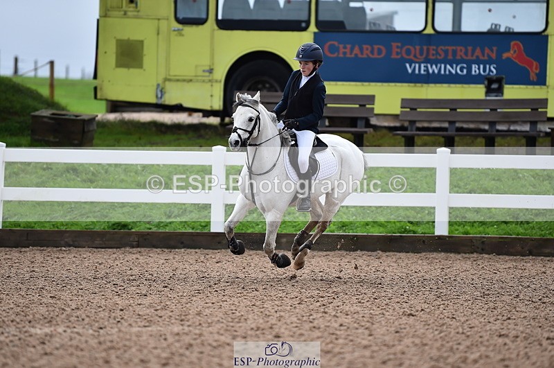 231029A-103534-02338 - 70cm Pony Intro