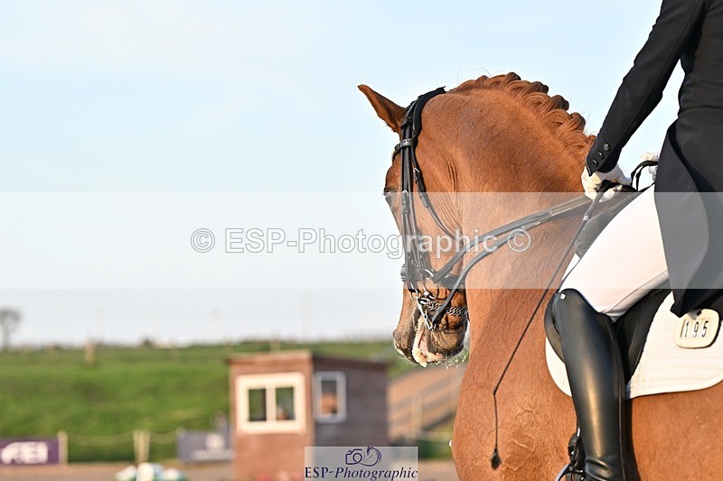 250404-190124-08776 - 195-Sarah.Millis-Impressive.VDC