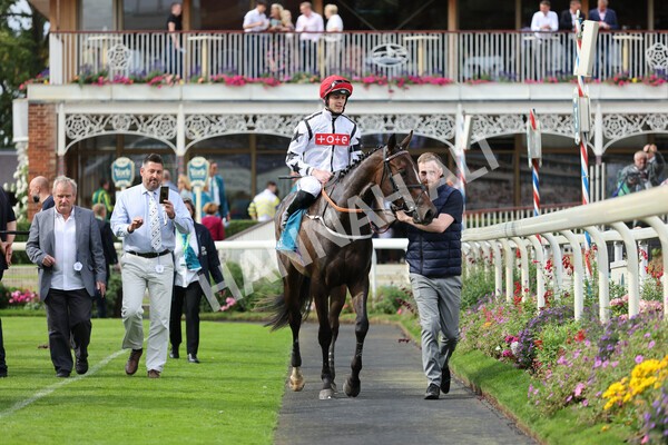 yr04092022r4-26 - Race 4 3.30pm Federation of Bloodstock Agents Nursery Handicap
