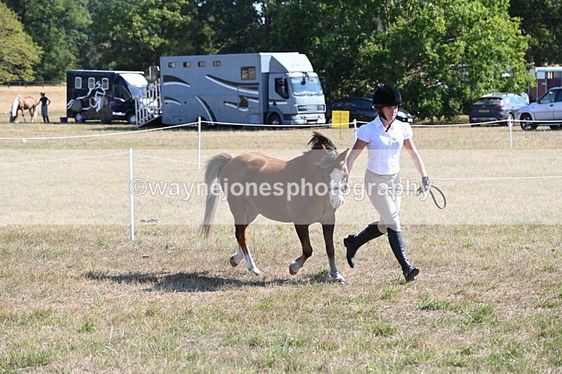 WJ6_7494 - Class 34 Judges Choice