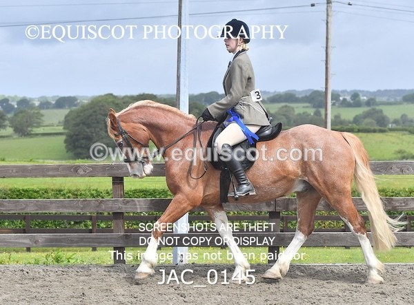 JAC_0145 - CHAMPIONSHIPS AND SUPREME