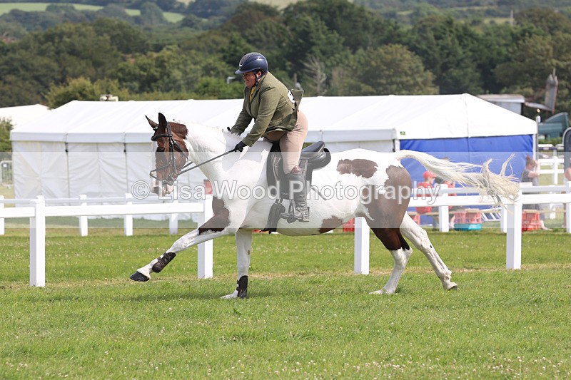 JPP_4056 - Class 24: Working Hunter 90cm