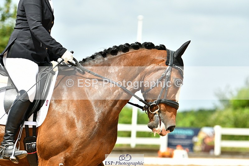 230702A-124314-09702 - Cls 28 Elementary 45