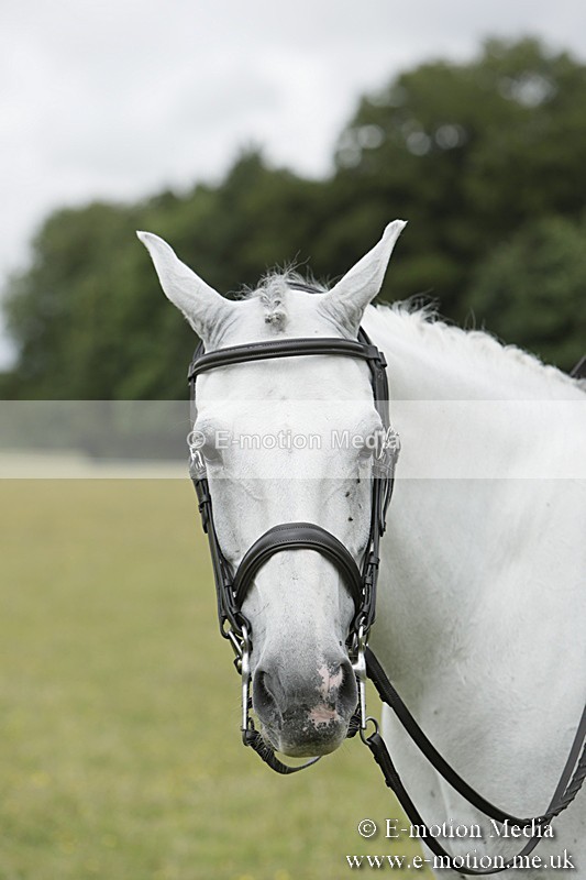BVR160717-2397 - Side Saddle Classes 16/07/17