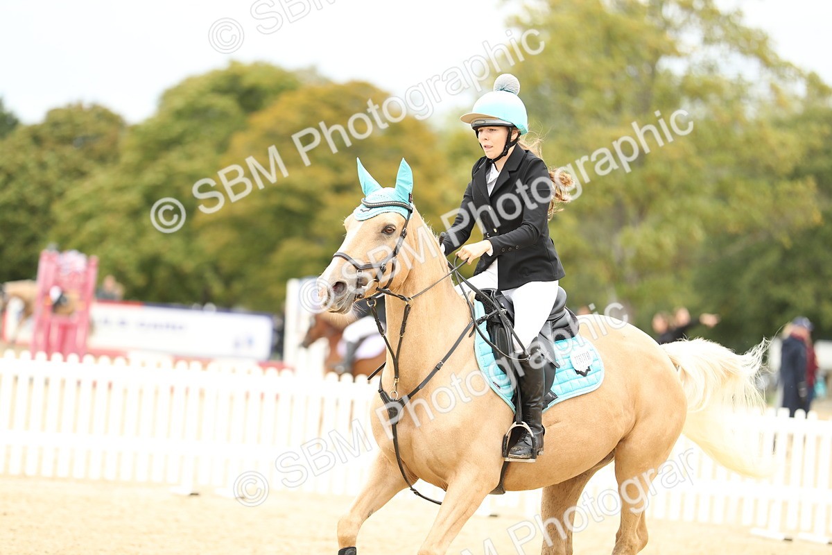 SBM_65584 - J48 - Pairs Jumping Open 70cm & 85cm