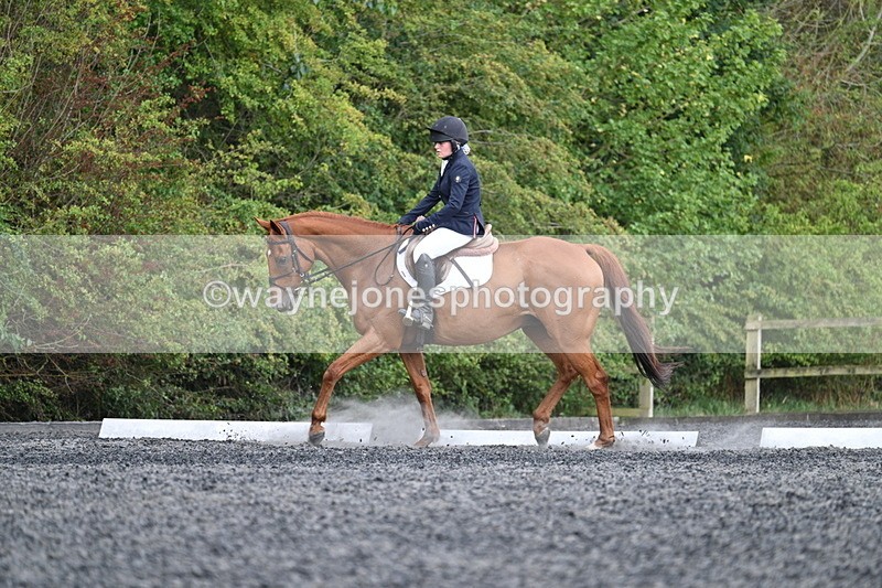 WJ7_7861 - Time 13:40 to 14:00