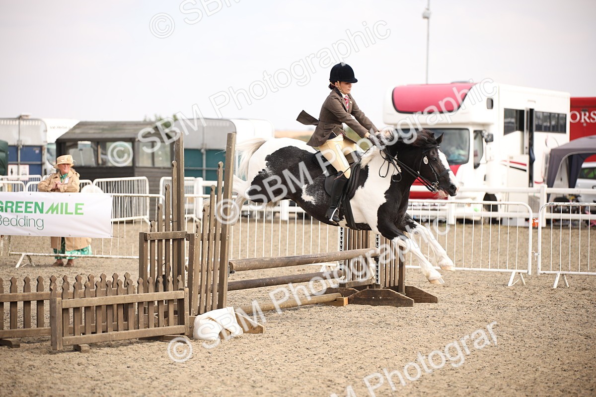 SBM_14983 - Class 408a - Working Veteran 70cm (15-19