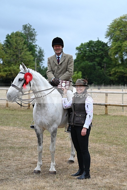 WJ7_1014 - Class 7 Riding Club Show Horse