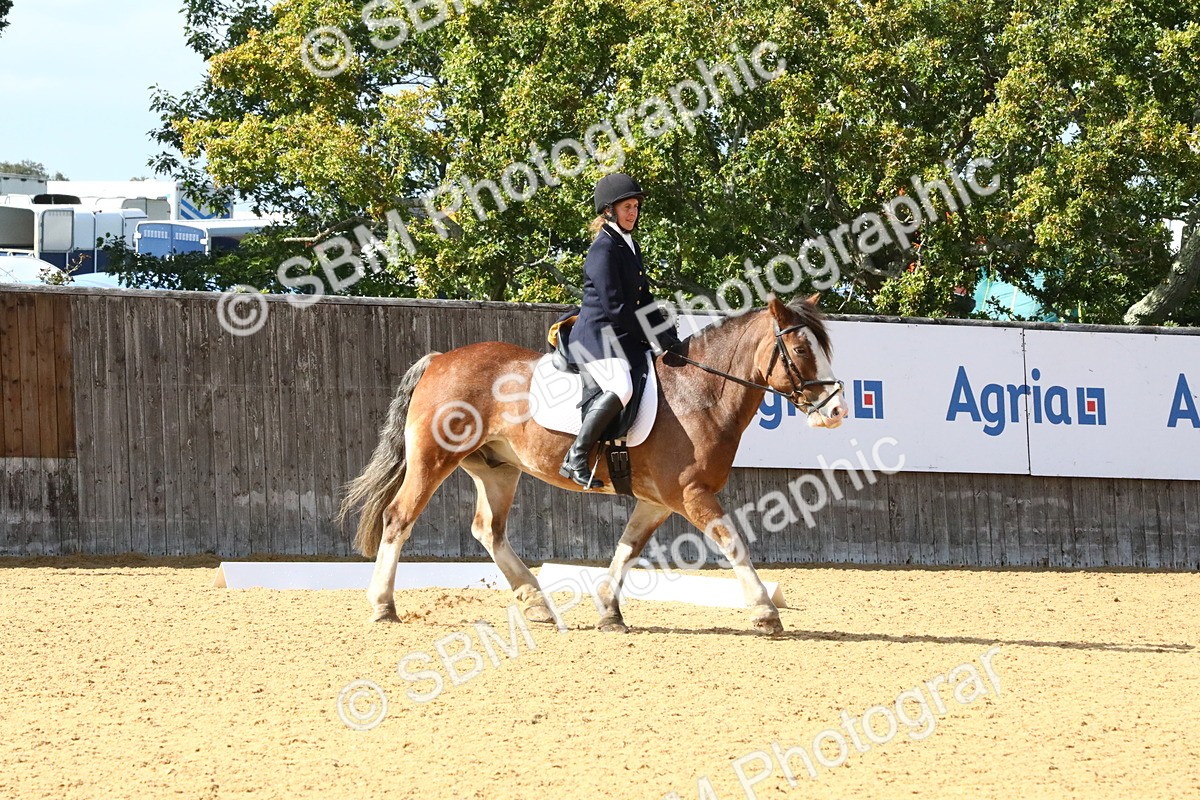 SBM_23599 - D5 - Small Tour Championshop Intro 2