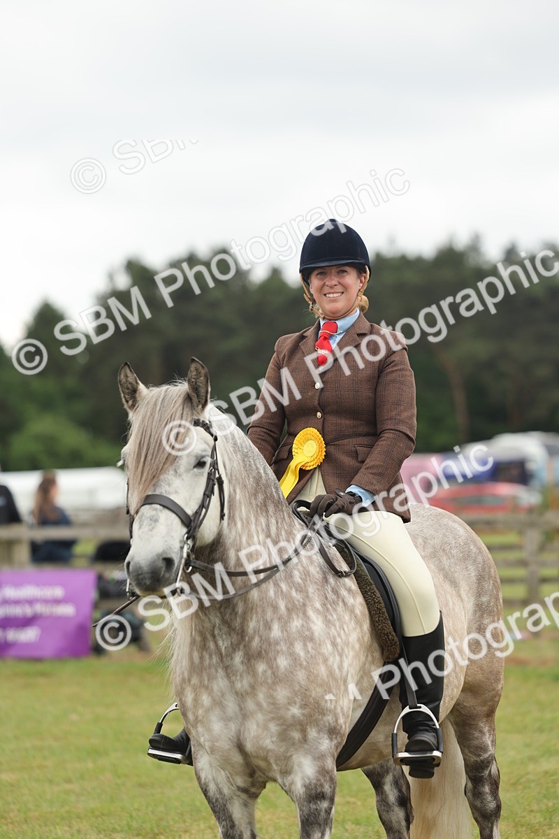 SBM_09055 - Class 78-80 - Ridden M&M Non Welsh Ponies