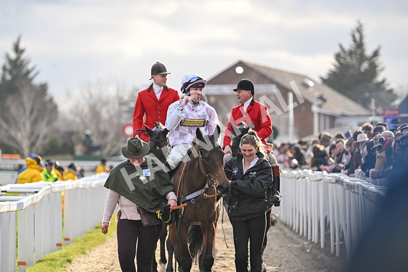 110325-Race 5-Golden Ace-3363 - 11th March