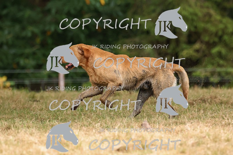 2R6A3551 - ​TEAM A: BORDER COUNTIES & COTSWOLDS 1-2-3