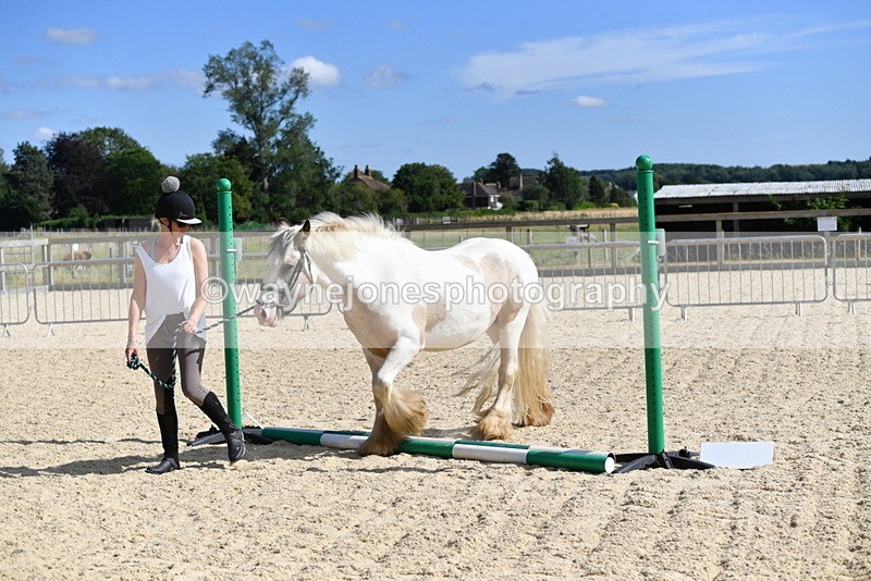 WJ5_5460 - Poles on the Floor